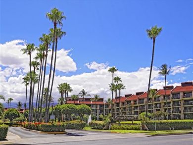 Wailea Condo 896112